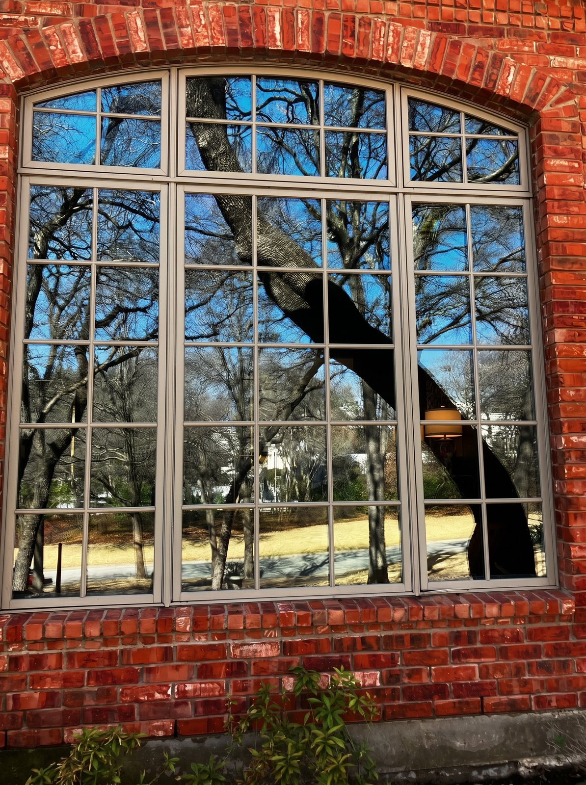 Window Cleaning